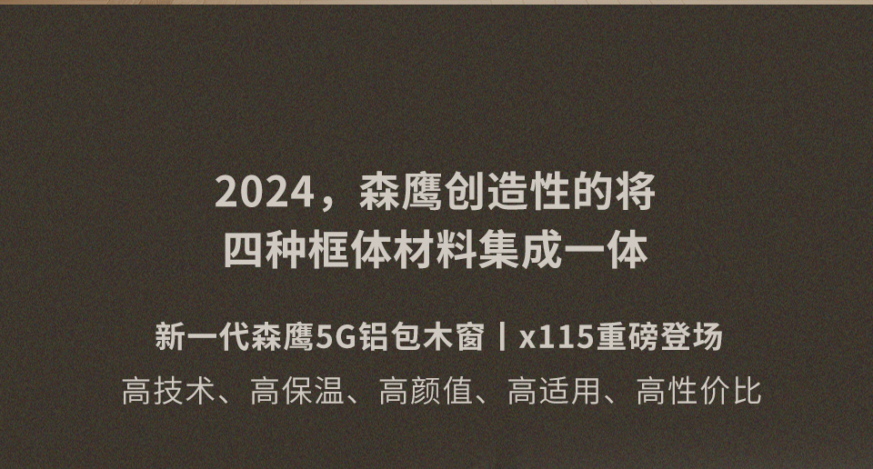 w66平台5G铝包木窗-x115