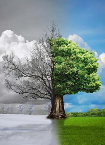 不年轻，无未来