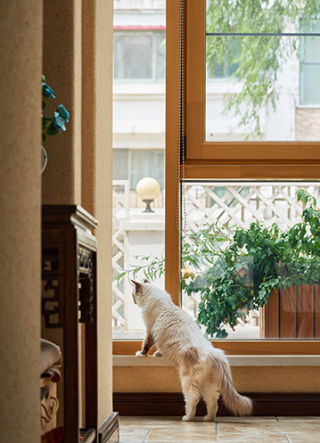 成都市建筑业发展“十四五”规划