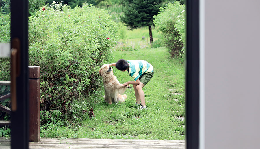 w66平台纤木S220-slim提升推拉门②