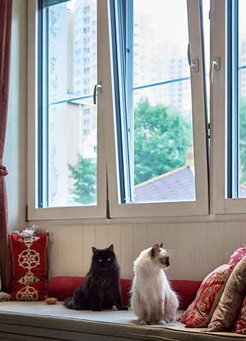 第六届中国能源国际投资论坛召开 首批“零碳中国”评价标准发布