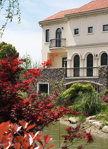 探索减碳路径 拥抱绿色未来