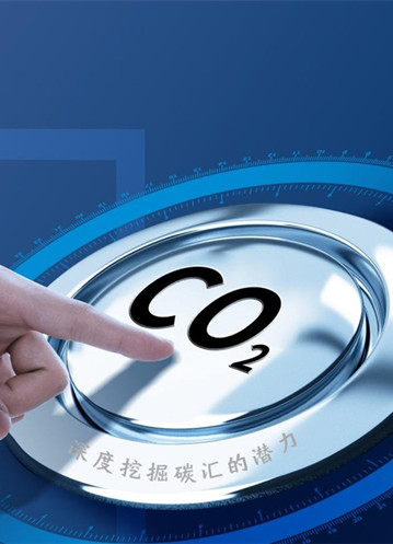 不知道什么是碳汇？其实你也可以这么理解