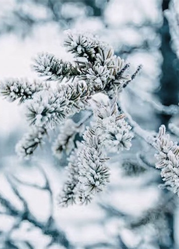 漫天的大雪都来了，家里需要保温的日子还远吗？
